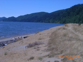 Photo not available