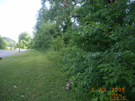 Photo not available
