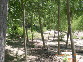 Photo not available