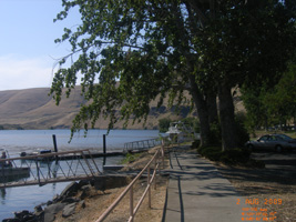 Photo not available