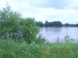 Photo not available
