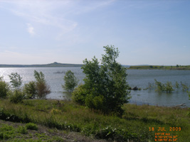 Photo not available