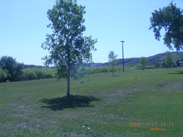 Photo not available