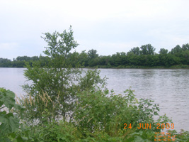 Photo not available