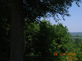 Photo not available