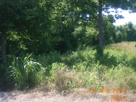 Photo not available