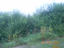 Photo not available