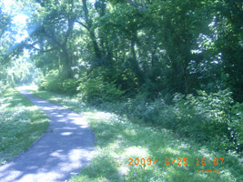 Photo not available