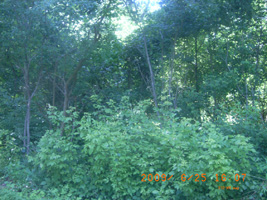 Photo not available