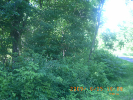 Photo not available