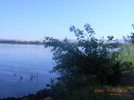 Photo not available
