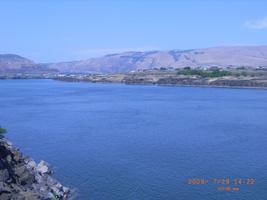 Photo not available