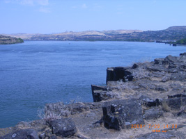 Photo not available