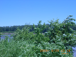 Photo not available