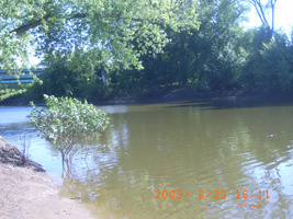 Photo not available