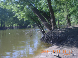 Photo not available