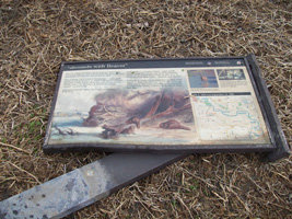 Photo not available